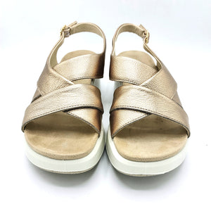 Enval 7792333 champagne