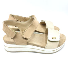 Carica l'immagine nel visualizzatore di Gallery, Igi&amp;co 1174833 platino beige
