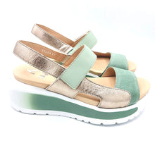 Carica l'immagine nel visualizzatore di Gallery, Callaghan 35204 salvia
