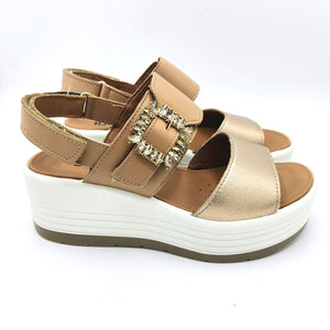 Igi&co 7667311 champagne